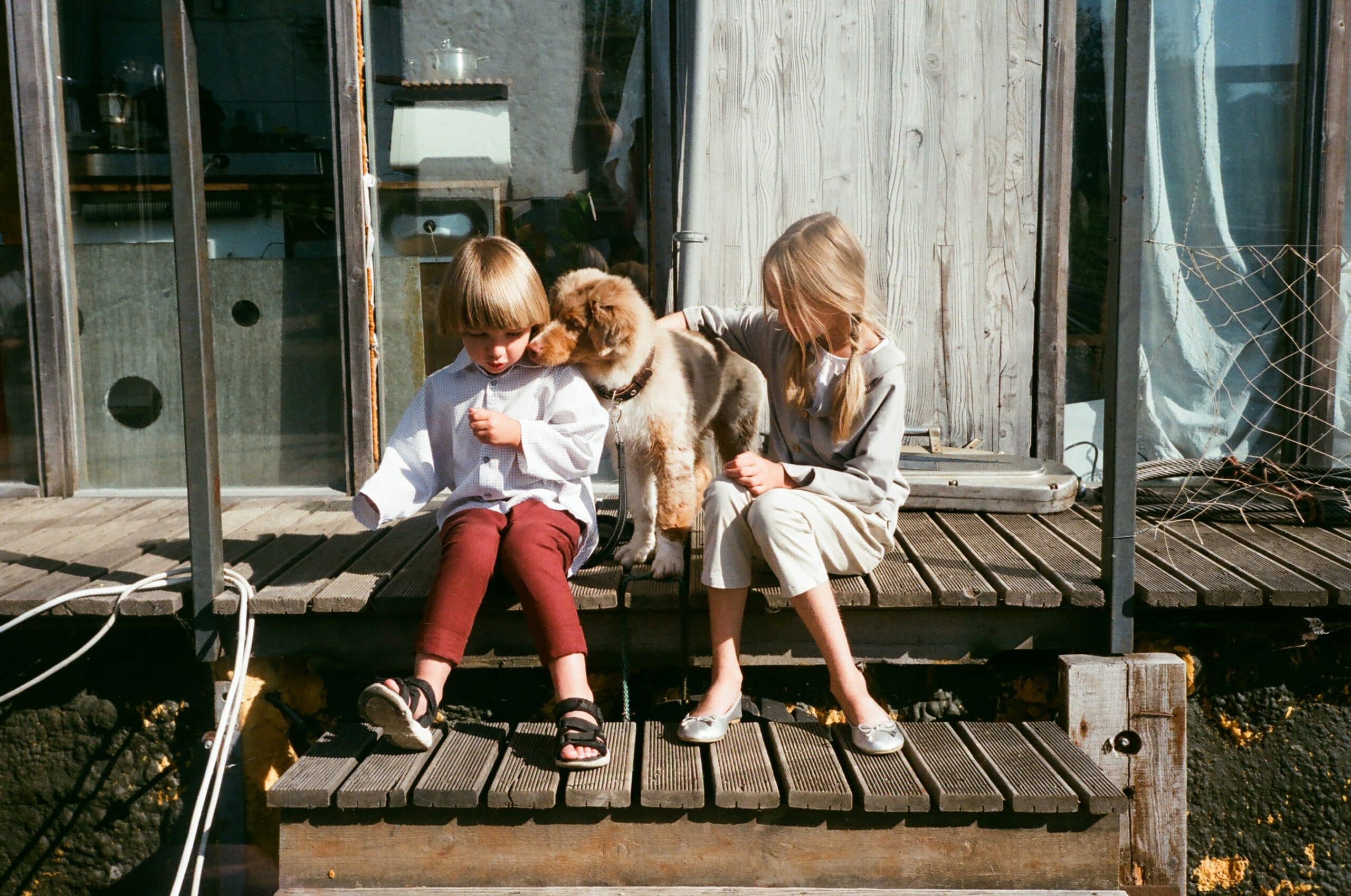 Featured image for “Valpbesiktning Hund Paket 3 - Valpbesiktning, Chipmärkning, Vaccination”